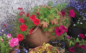 Fuchsia House Bed And Breakfast Connemara