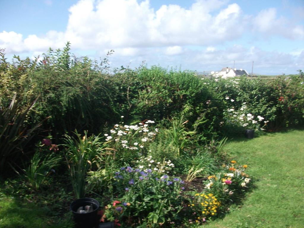 Fuchsia House Bed And Breakfast Connemara Renvyle Extérieur photo